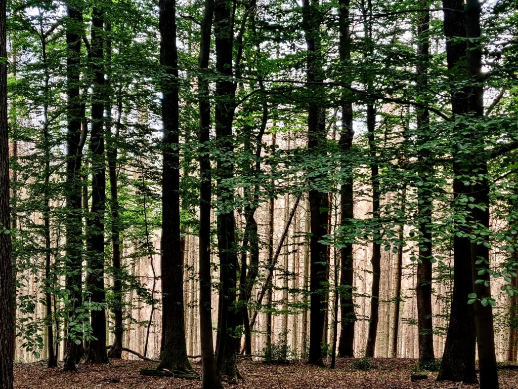 Wandern im Bergischen Land